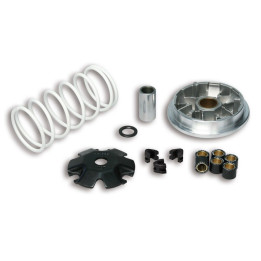 Variateur MALOSSI Multivar 2000 - scooter 50 4T 5114206