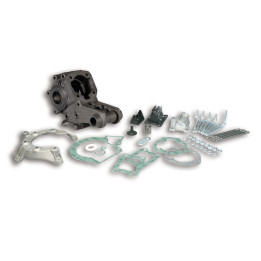 Kit carter moteur MALOSSI 57 6548 | Oxmoto