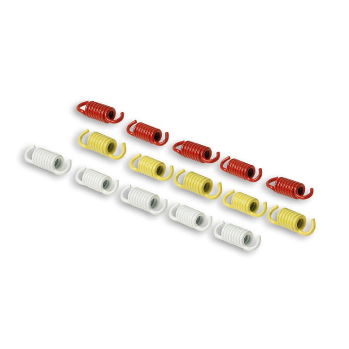 Kit 9 ressorts racing MALOSSI embrayages OEM, FLY et Delta 2913137