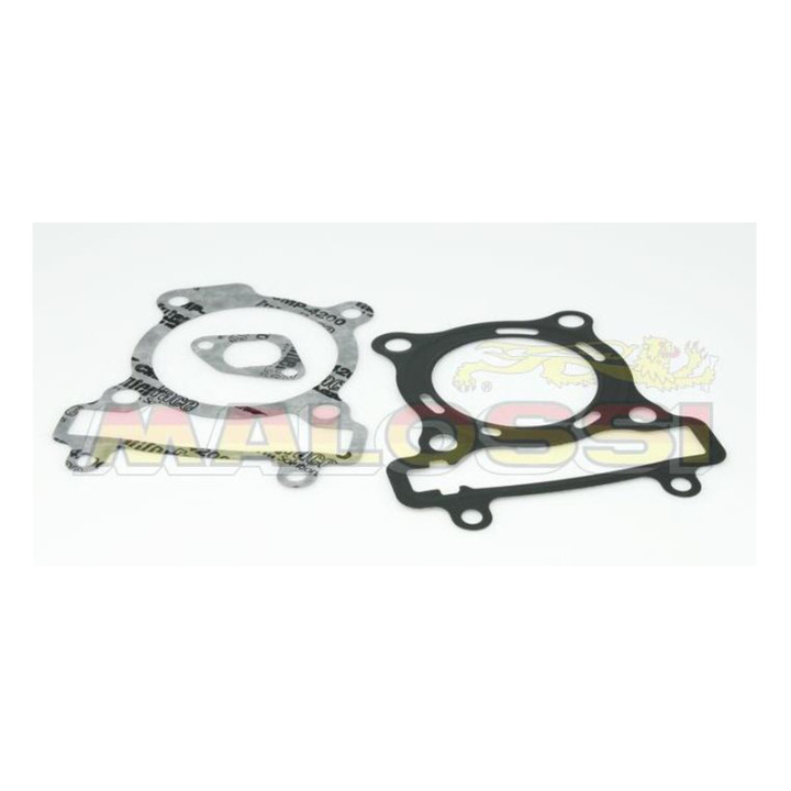 Joint haut-moteur MALOSSI 1113280B | Oxmoto