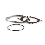 Joint haut-moteur MALOSSI 11 3491 | Oxmoto