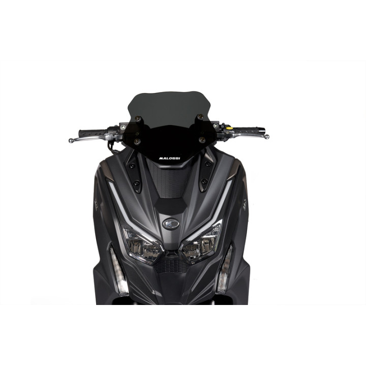 Bulle MALOSSI Sport 4519193 | Oxmoto