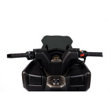 Bulle MALOSSI Sport 4519193 | Oxmoto