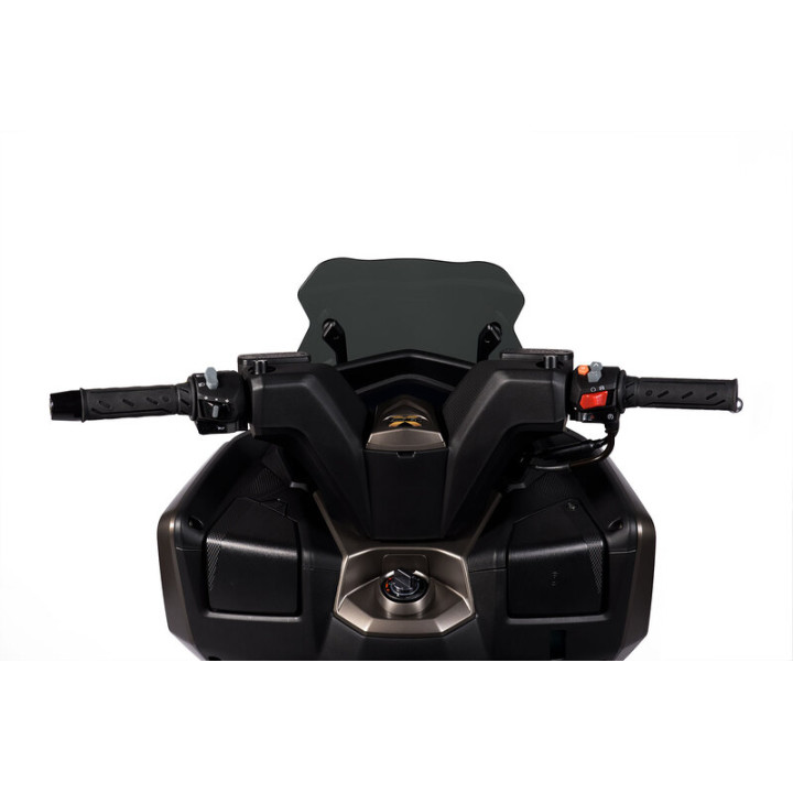 Bulle MALOSSI Sport 4519193 | Oxmoto