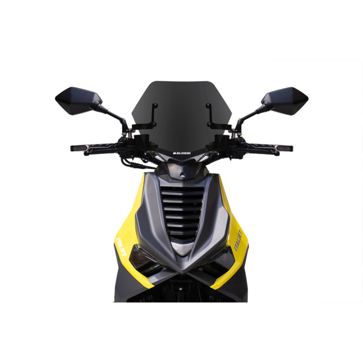 Bulle MALOSSI Sport 4519881 | Oxmoto