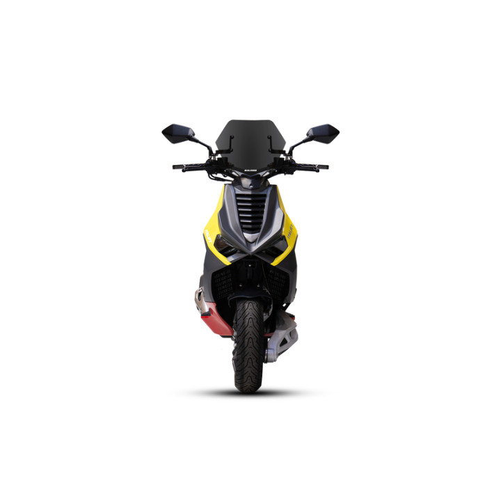 Bulle MALOSSI Sport 4519881 | Oxmoto