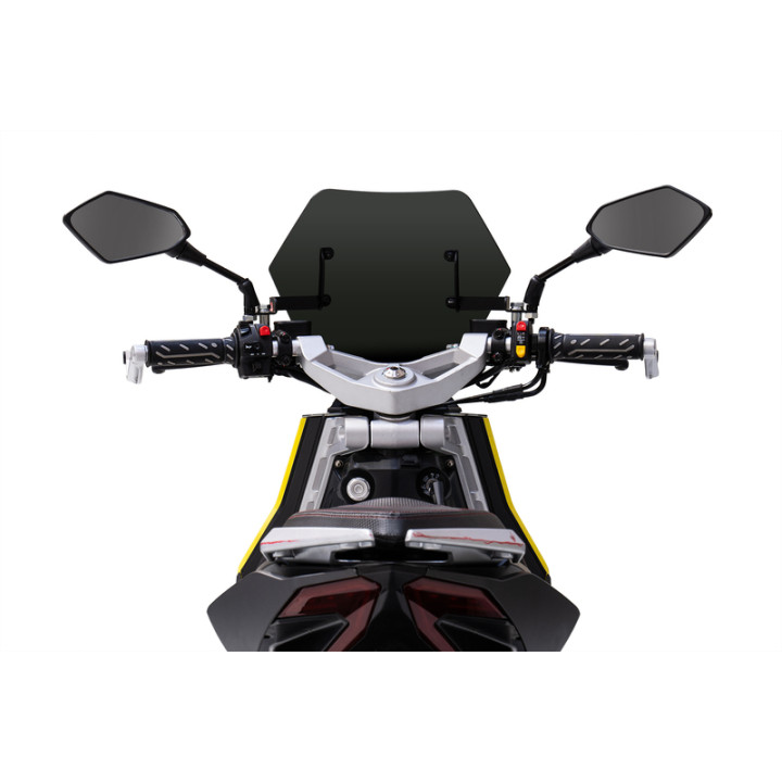 Bulle MALOSSI Sport 4519881 | Oxmoto