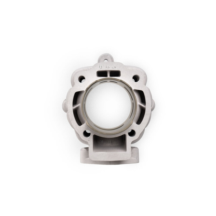 Kit cylindre MALOSSI H2O Ø65mm 172,5CC | Oxmoto