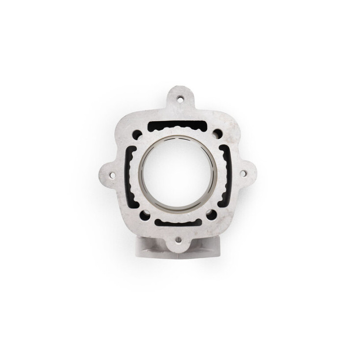 Kit cylindre MALOSSI H2O Ø65mm 172,5CC | Oxmoto