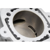 Kit cylindre MALOSSI H2O Ø65mm 172,5CC | Oxmoto