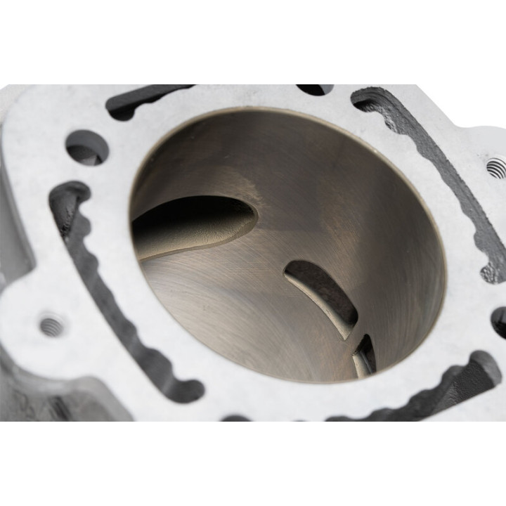 Kit cylindre MALOSSI H2O Ø65mm 172,5CC | Oxmoto