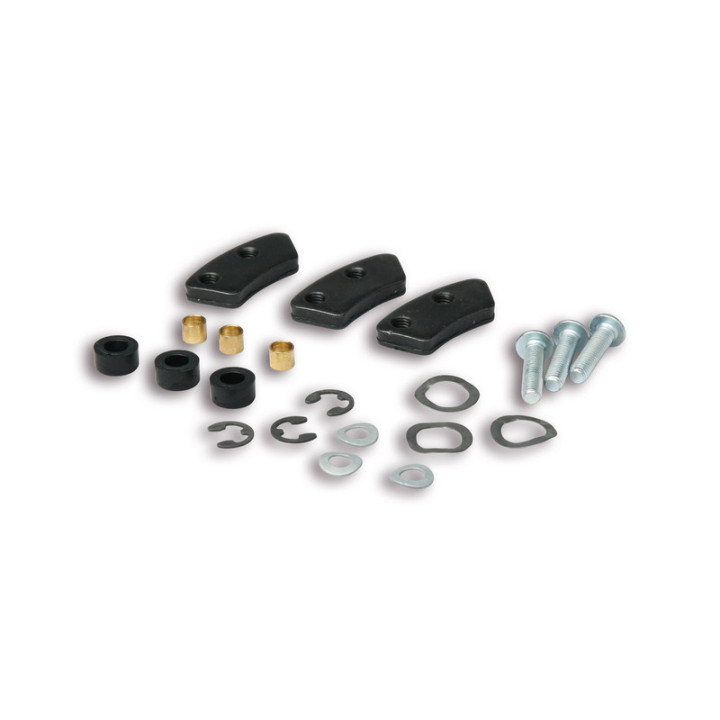 Jeu de secteurs de fixation embrayage MALOSSI | Oxmoto