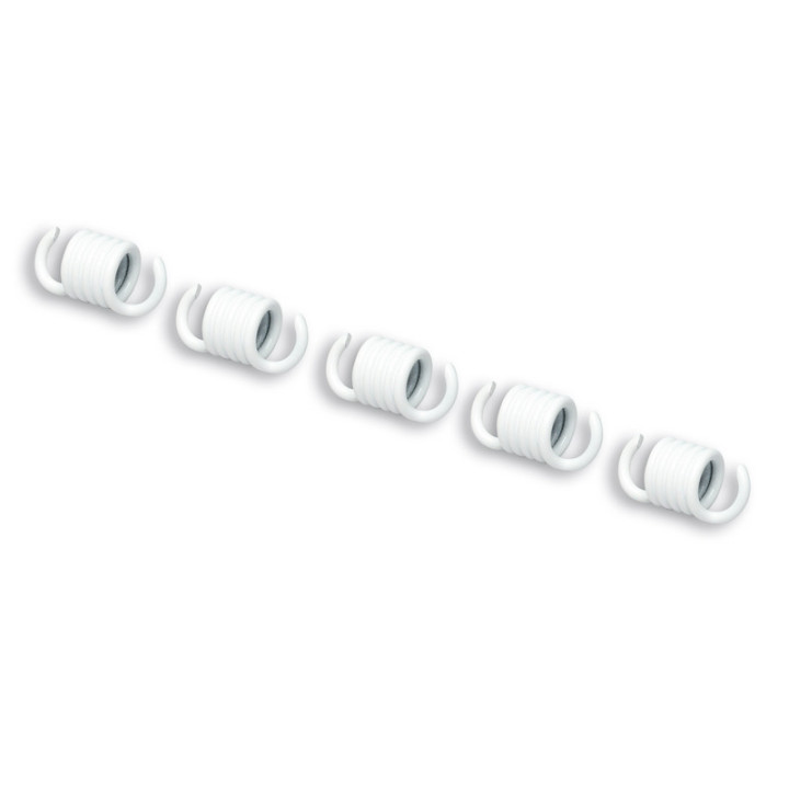 Ressort d'embrayage MALOSSI 2.2mm - jeu de | Oxmoto