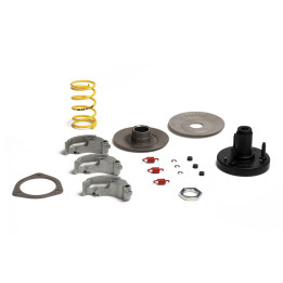 Embrayage centrifuge MALOSSI FLY System | Oxmoto