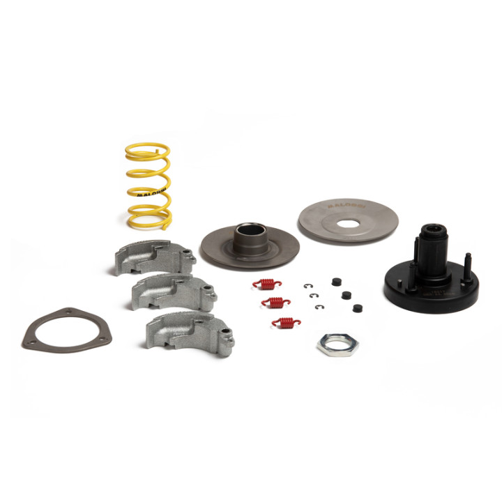 Embrayage centrifuge MALOSSI FLY System | Oxmoto