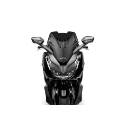 Bulle MALOSSI Sport 4519198 | Oxmoto
