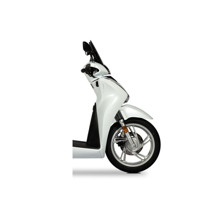 Bulle MALOSSI Sport 4518766 | Oxmoto