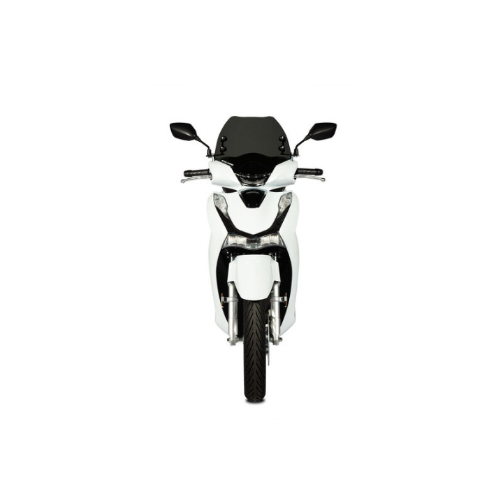 Bulle MALOSSI Sport 4518766 | Oxmoto