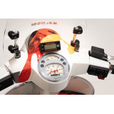 Compteur de richesse (AFR) MALOSSI lambda large bande
