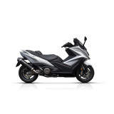 Silencieux MALOSSI Wild Lion | Oxmoto