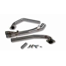 Collecteur MALOSSI Wild Lion - Inox Carbon | Oxmoto