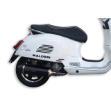 Silencieux MALOSSI RX | Oxmoto