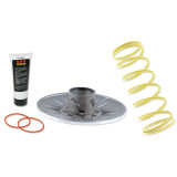 Correcteur de couple MALOSSI Honda NSS 250 | Oxmoto