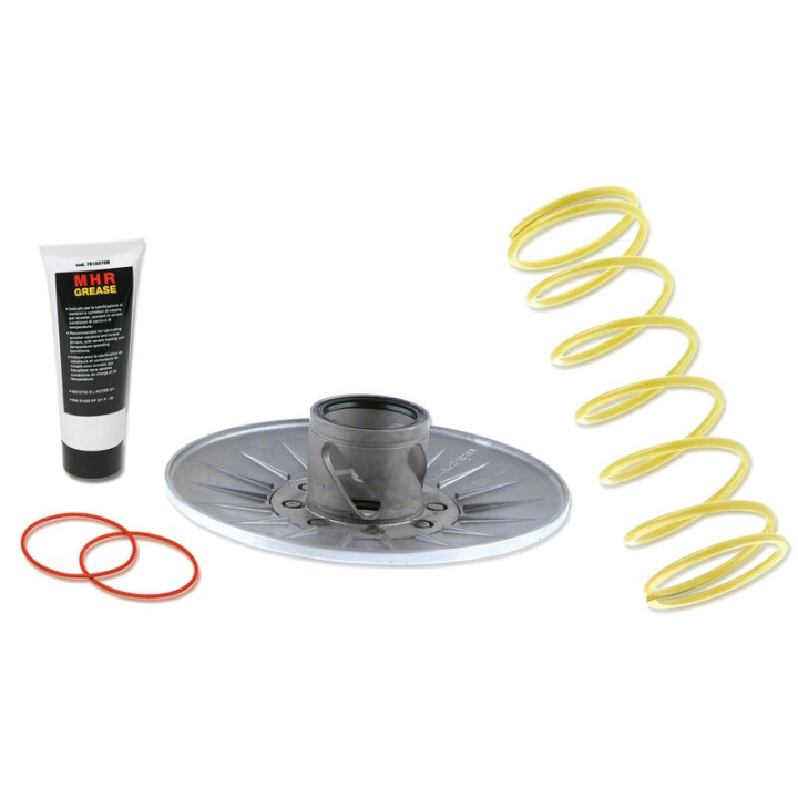 Correcteur de couple MALOSSI Honda NSS 250 | Oxmoto