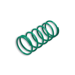 Ressort de poussée Malossi Vert 6,8 (-39%) | Oxmoto
