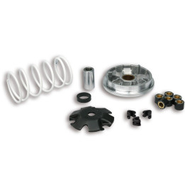 Variateur MALOSSI Multivar 2000 - Peugeot 51 8752 | Oxmoto