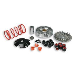 Variateur MALOSSI Multivar - Yamaha-MINARELLI 5113161