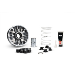 Variateur MALOSSI Multivar 5120021 | Oxmoto