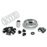 Variateur MALOSSI Multivar 2000 - Suzuki | Oxmoto