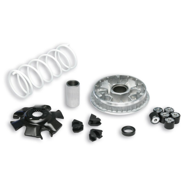 Variateur MALOSSI Multivar 2000 - Suzuki | Oxmoto