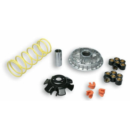 Variateur MALOSSI Multivar 2000 - Maxiscooter-ATV | Oxmoto
