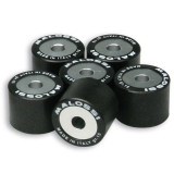 Jeu de galets MALOSSI 23x18mm 25gr - 6 pièces | Oxmoto