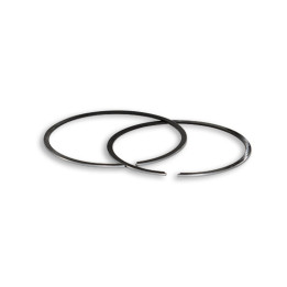 MALOSSI Segments Ø61mm | Oxmoto