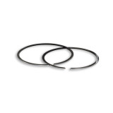 MALOSSI Segments Ø61mm | Oxmoto
