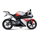 Ligne complète MIVV GP - Yamaha YZF-R 125 00.73.Y.030.L2S