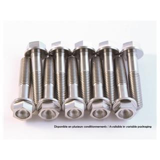 Kit vis titane Scar m8x35 par 2 | Oxmoto
