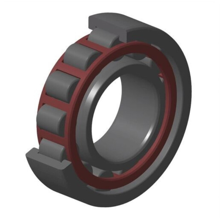Roulement de vilebrequin NTN 30x62x16mm NJ206EAT2X | Oxmoto