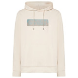 Hoodie Oakley Duality B1B Po achat en ligne | Oxmoto
