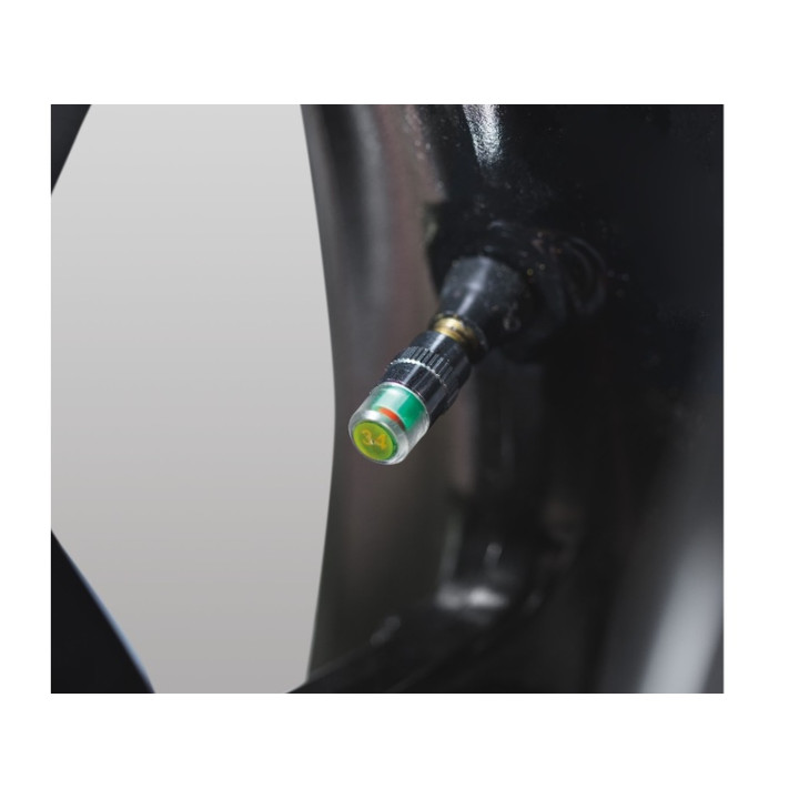Bouchons valve PSI Alert Oxford plage 30 (2,41-2,56 bar)