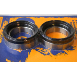 Kit de roulements et joints de roue arrière PIVOT WORKS PWRWK-H10-420
