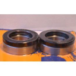 Kit de roulements et joints de roue arrière PIVOT WORKS PWRWK-Y09-000