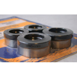 Kit de roulements et joints de roue avant PIVOT WORKS PWFWK-Y09-000