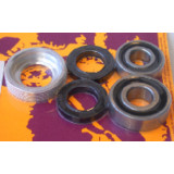 Kit de roulements et joints de roue arrière PIVOT WORKS PWRWK-H12-026