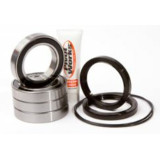 Kit de roulements et joints de roue arrière PIVOT WORKS PWRWK-S25-400