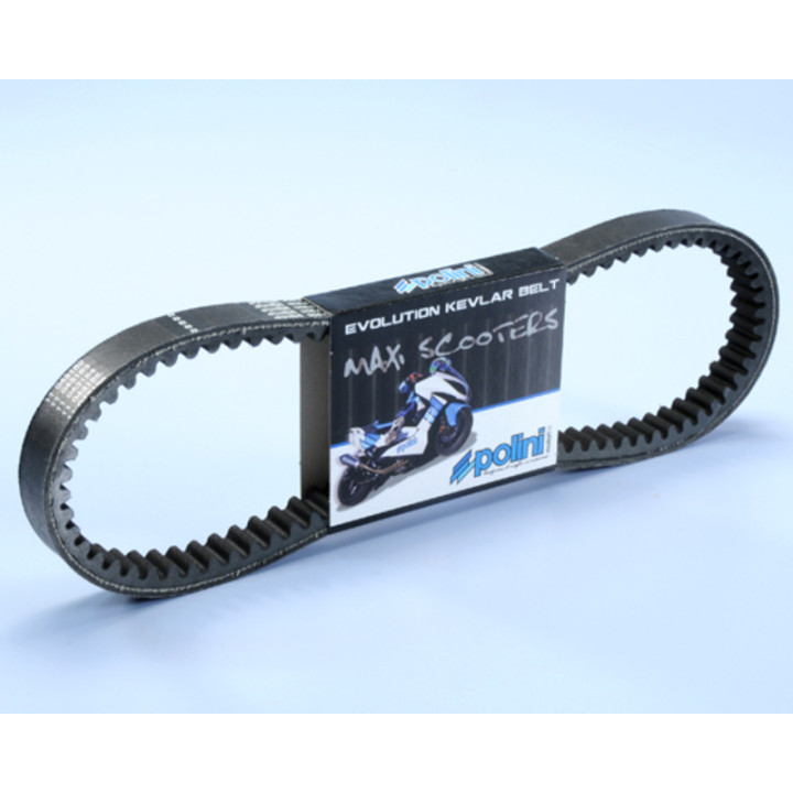 Courroie de transmission Polini Kevlar renforcée 248.076
