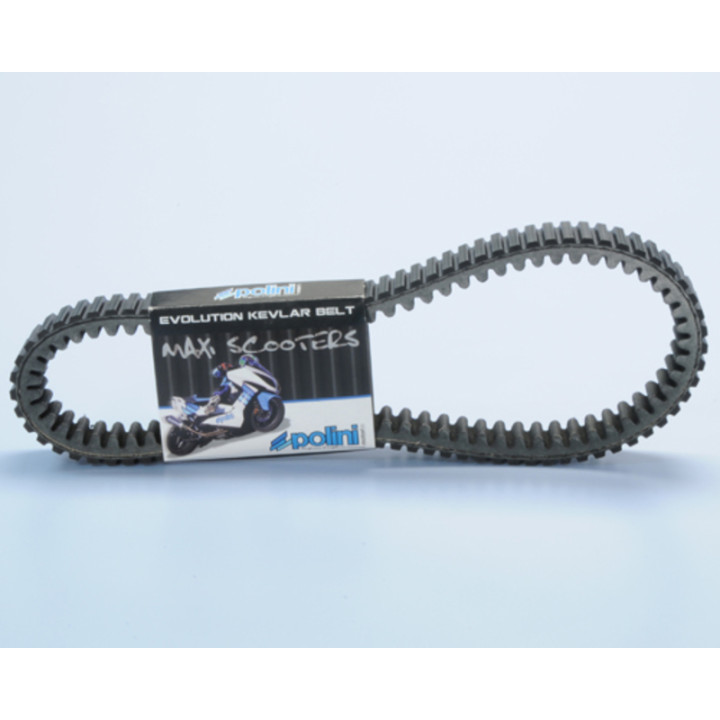 Courroie de transmission Polini 248.132 | Oxmoto
